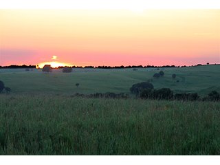 Property photo 11 - LARGE KANSAS AUCTION - 7,672+/- ACRES OFFERED IN 12 TRACTS IN CHAUTAUQUA COUNTY, KANSAS